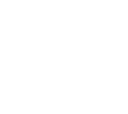 NIMUN Logo