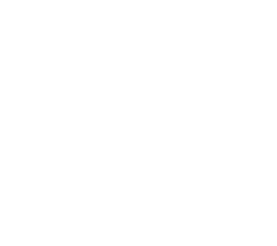 NIMUN Logo