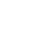 NIMUN logo